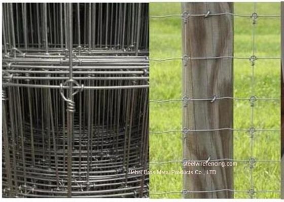 중국 직류 전기를 통한 목초지 가축 철사 담은/방목지를 위한 매듭에 의하여 길쌈된 사슴 담을 고쳤습니다 협력 업체